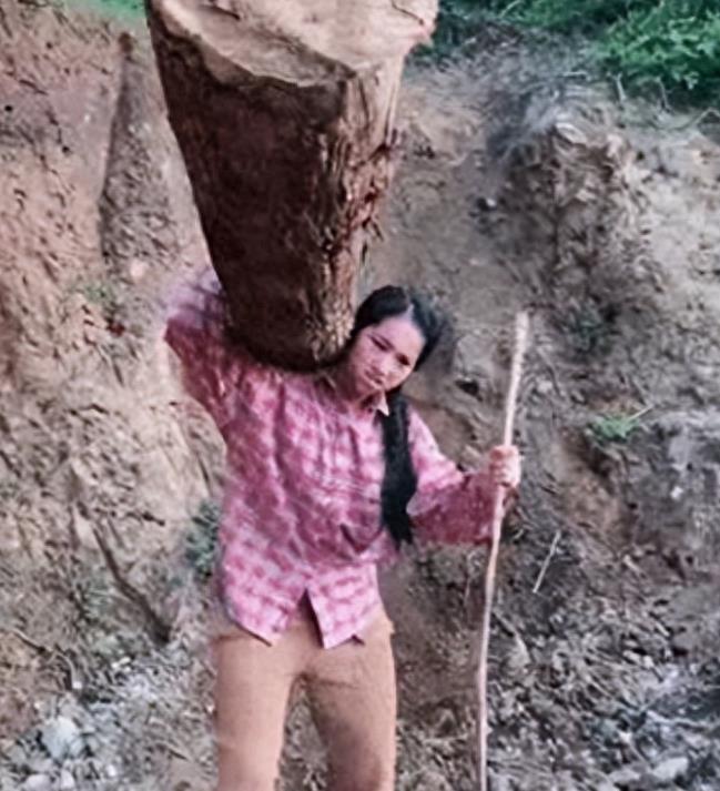 想不到吧!这就是大凉山网红主播下山背着的木头,居然是空心的