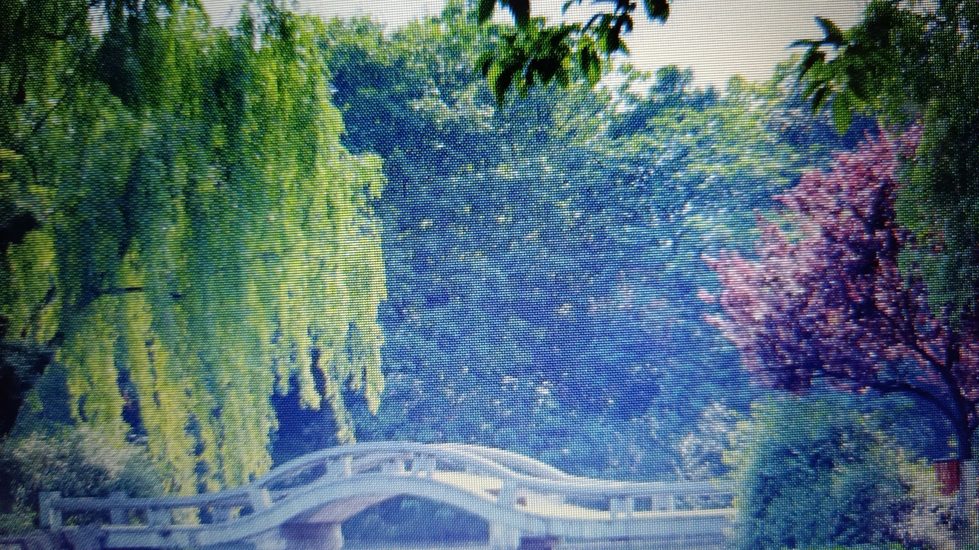 杭州西湖十大美景,杭州西湖门票一张多少钱