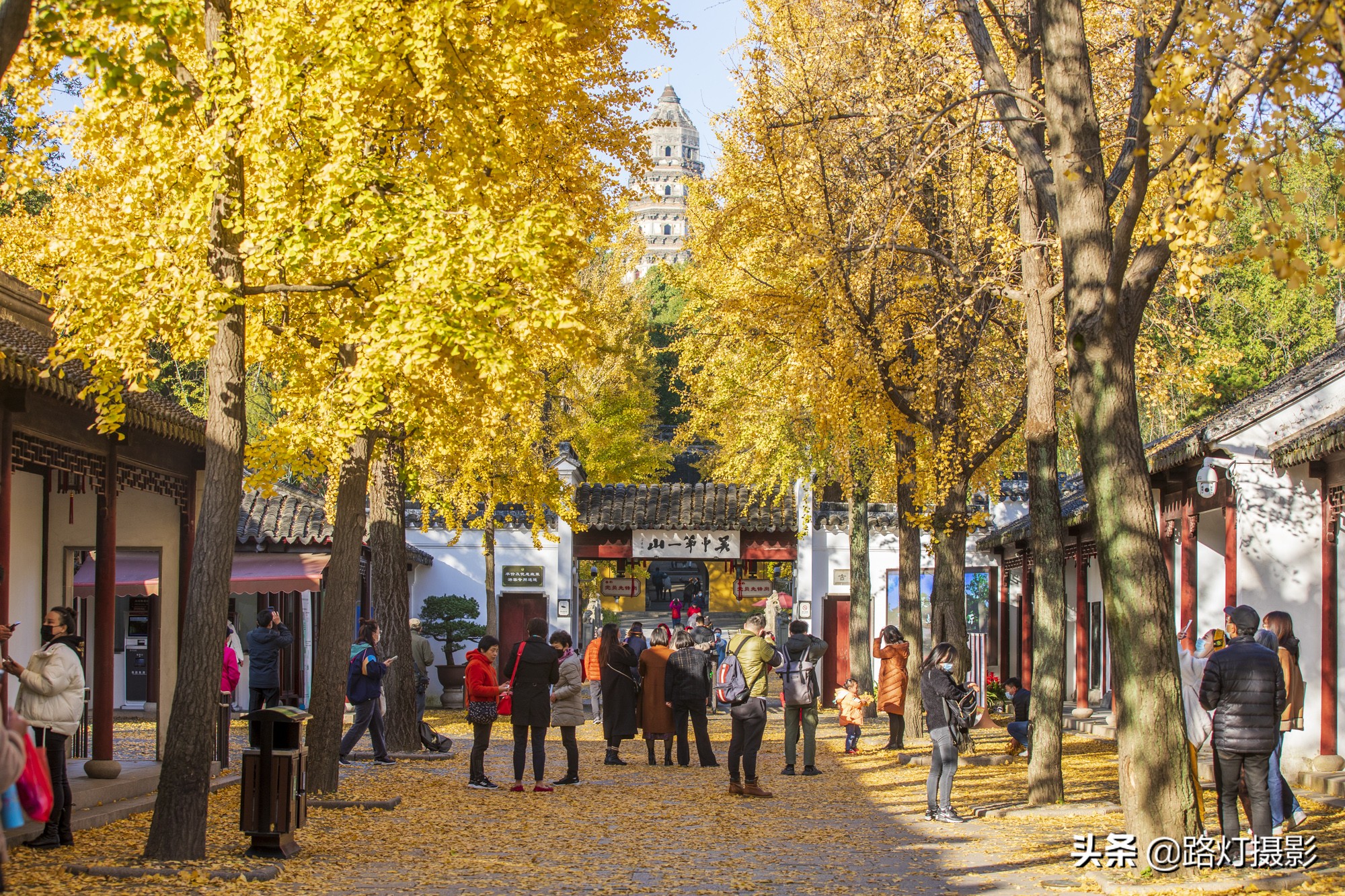 苏州宝藏旅行地，海拔34.3米的虎丘，缘何成为“吴中第一名胜”？