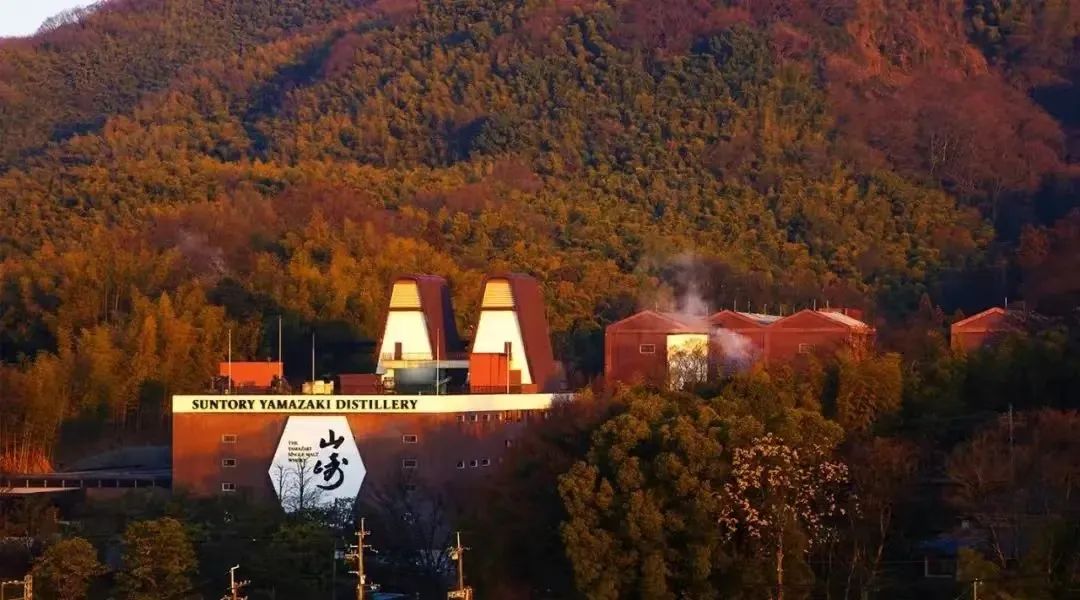 发行价3万飙升到50万美刀，从山崎55看日本威士忌蕴藏了什么