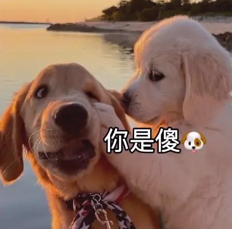 夏天到了购买什么样的蚊帐好,夏天来了你们用哪个蚊帐