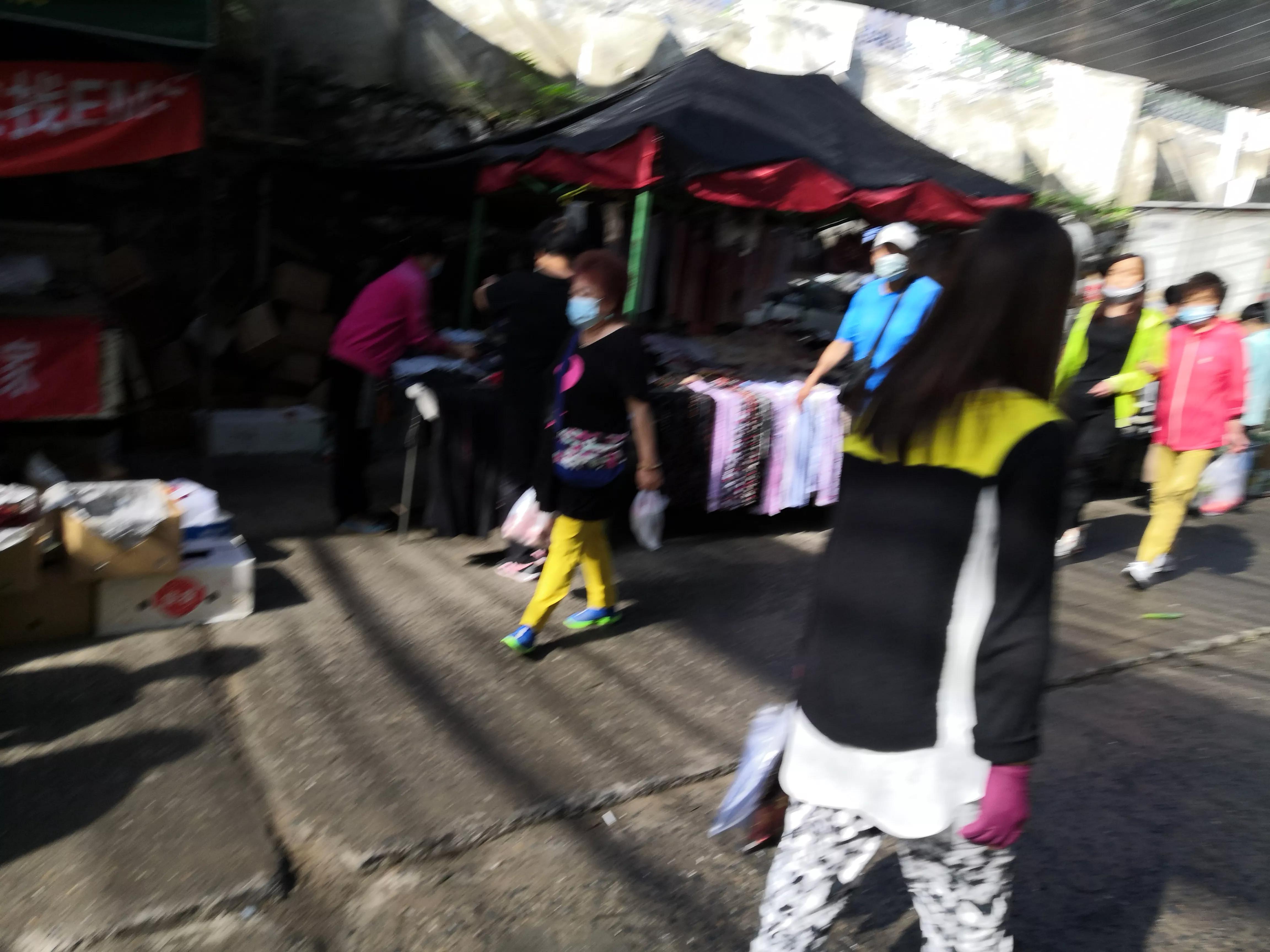 夜来风雨声花落知多少,夜来风雨声花落知多少国画