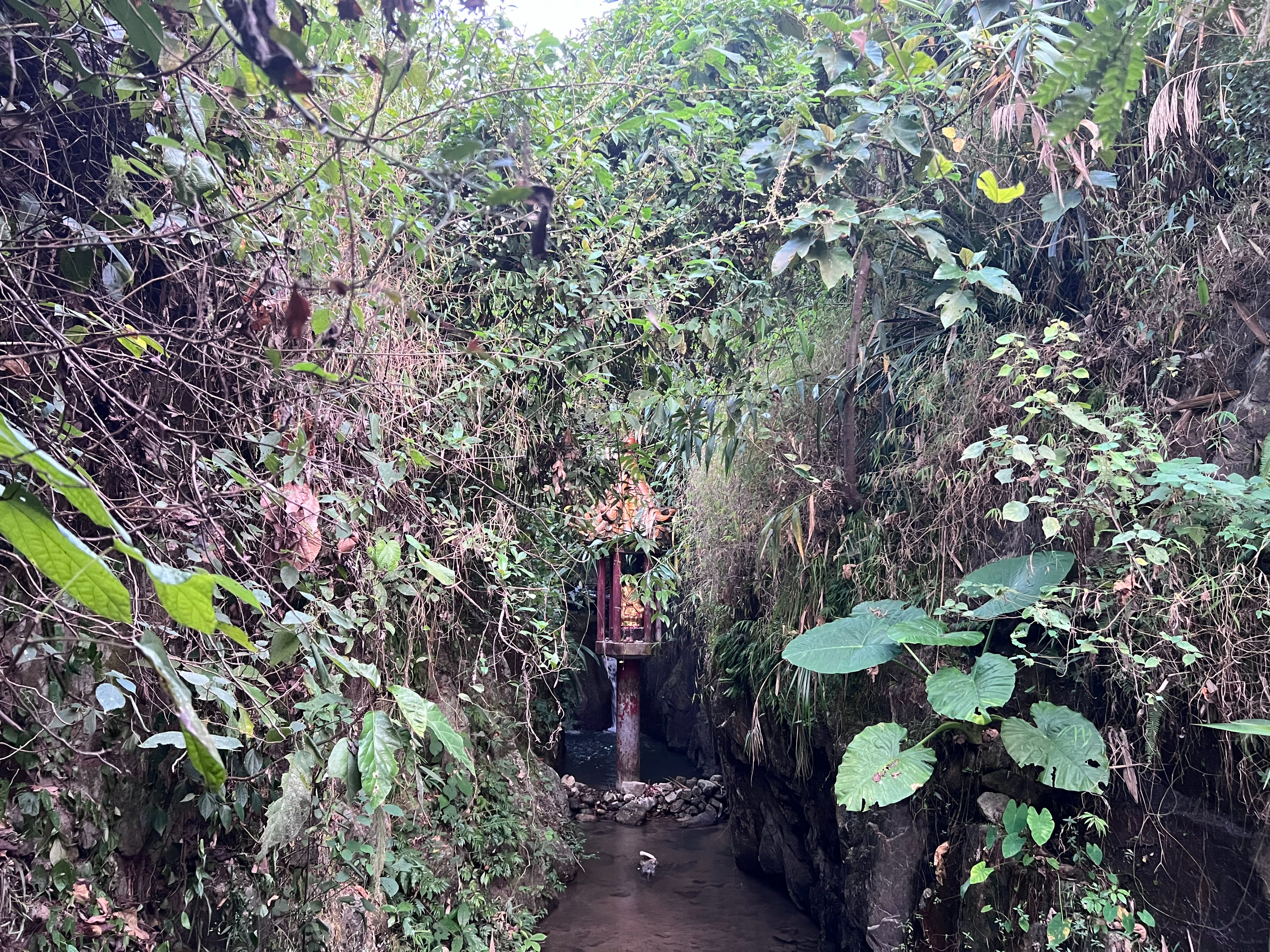 六祖惠能真实感悟,六祖惠能故居视频