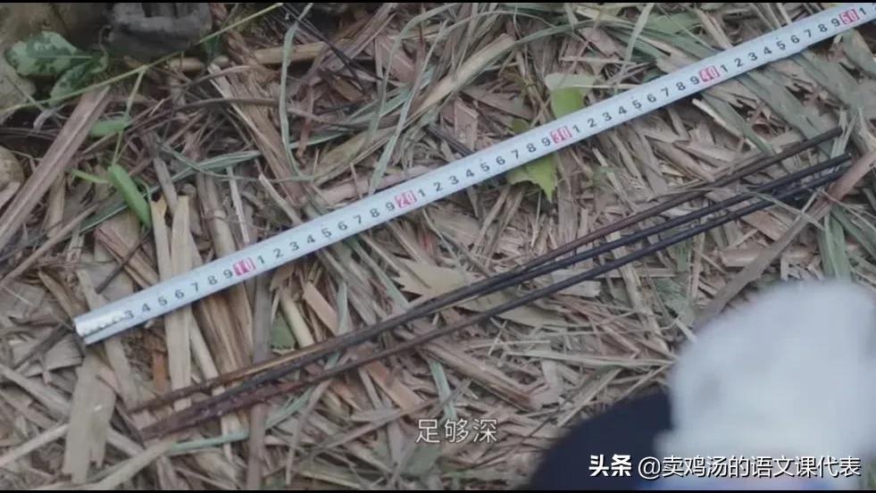 法医秦明之读心者张雅馨后续,法医秦明之读心者张雅馨剧情