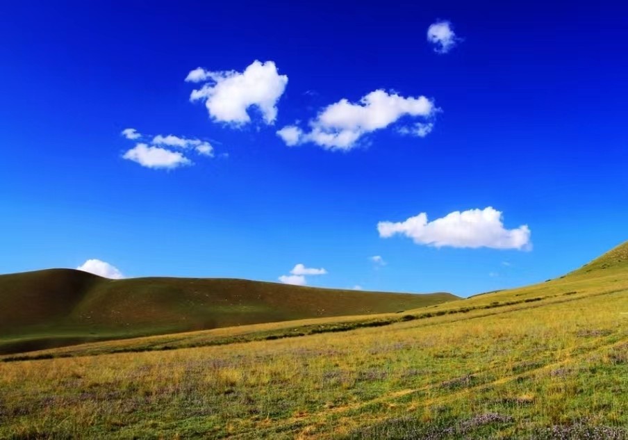 中国发明高效率“吞沙巨兽”，一天吞噬沙漠40亩，已在甘肃使用