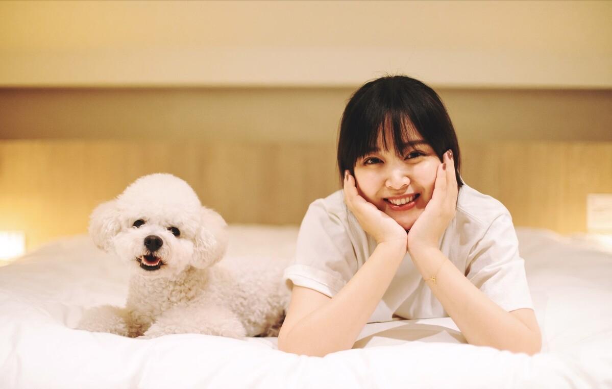 建议新手省钱养的10种狗,建议穷人新手养的10种狗