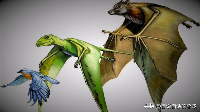 乌鸦为什么是外星人,外星人至今还未出现的5大原因