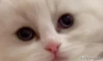 这个才能治愈你的不开心