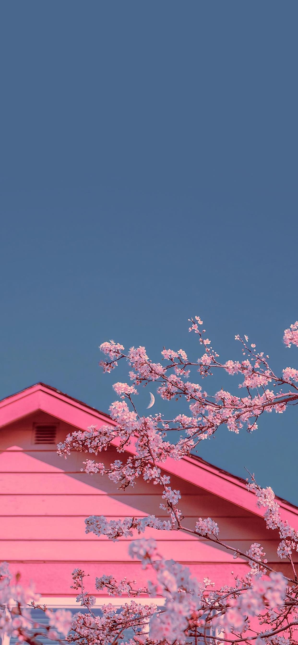 分享一些爆好看的手机壁纸,精挑细选90张最适合你的手机壁纸