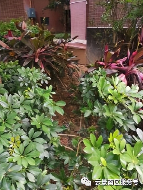 深圳市某小区业主委员会2022年工作报告