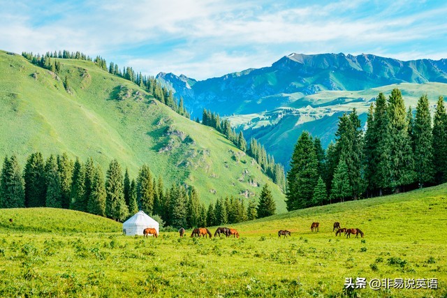 如何提高英语口语表达能力的方法,提高英语口语万能句型