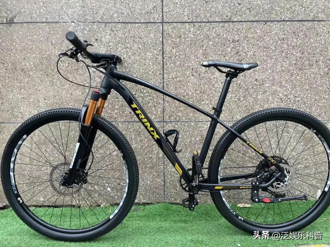 全世界十大知名自行车品牌排行图,当下哪个牌子的自行车最好