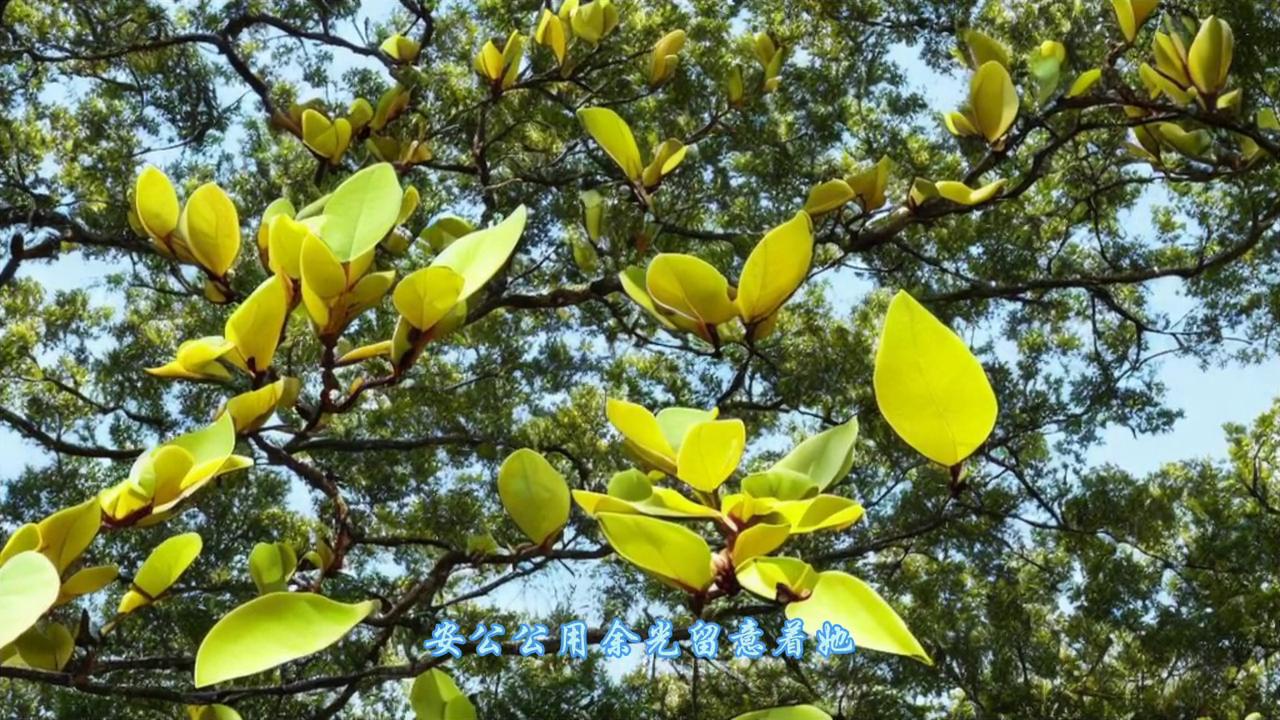 受伤严重,受伤严重的球员