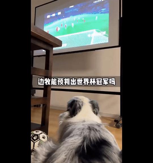 世界杯哪些人受伤了,世界杯强队集体翻车