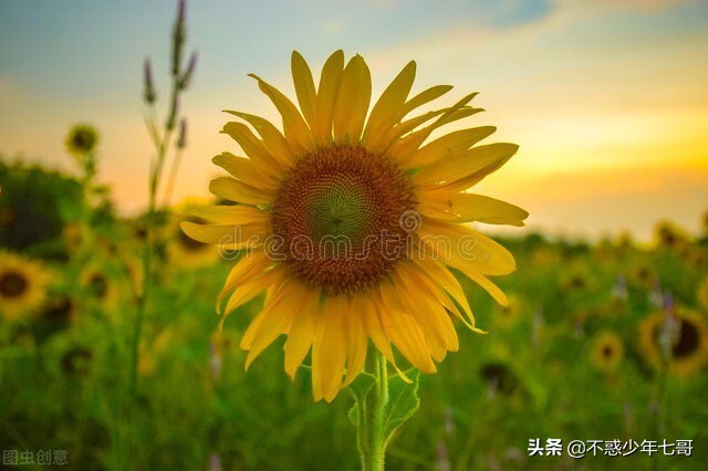 昨天在厂里摔了一跤,在公司摔了一跤几天后查出骨折