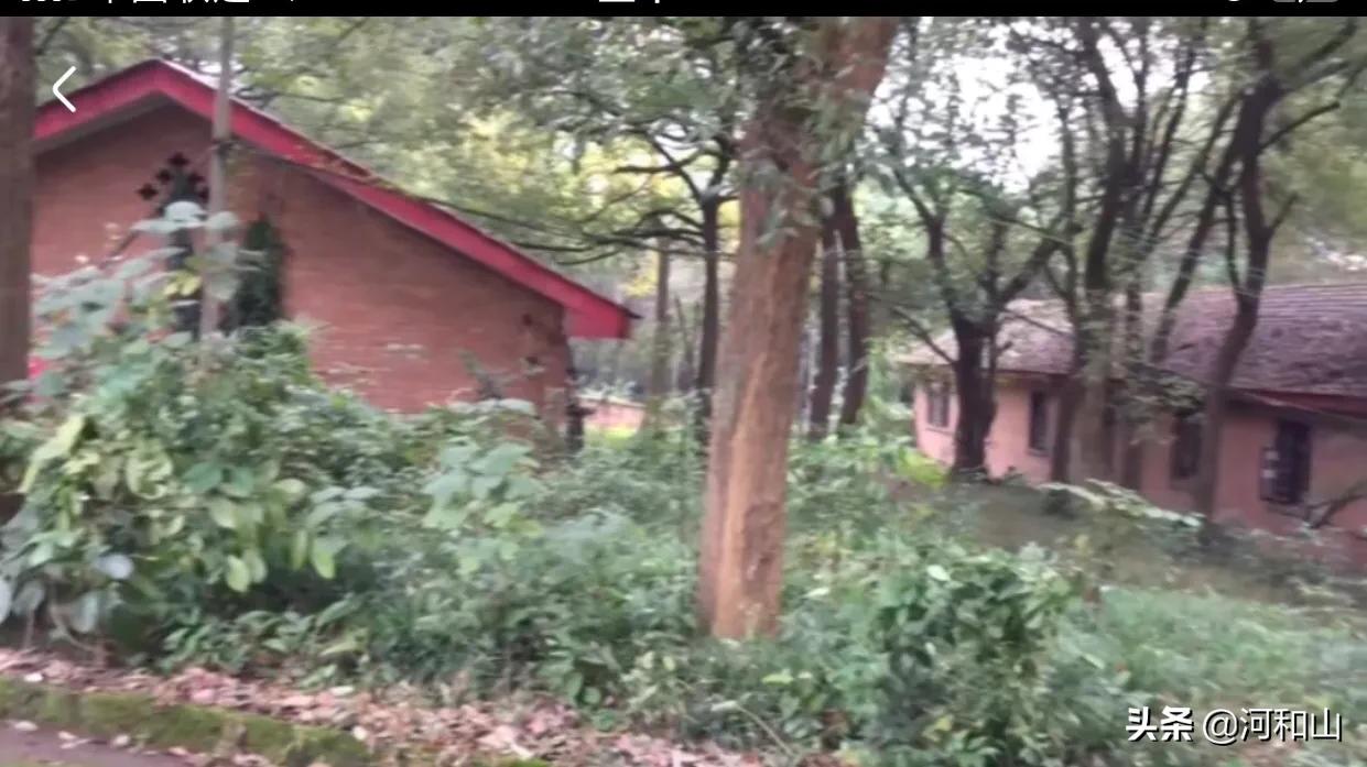 老八路班长,老八路老战士