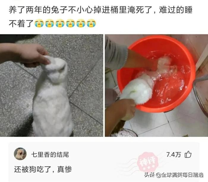 爬山回来为什么手指头长毛,爬山回来手指头长了几根毛