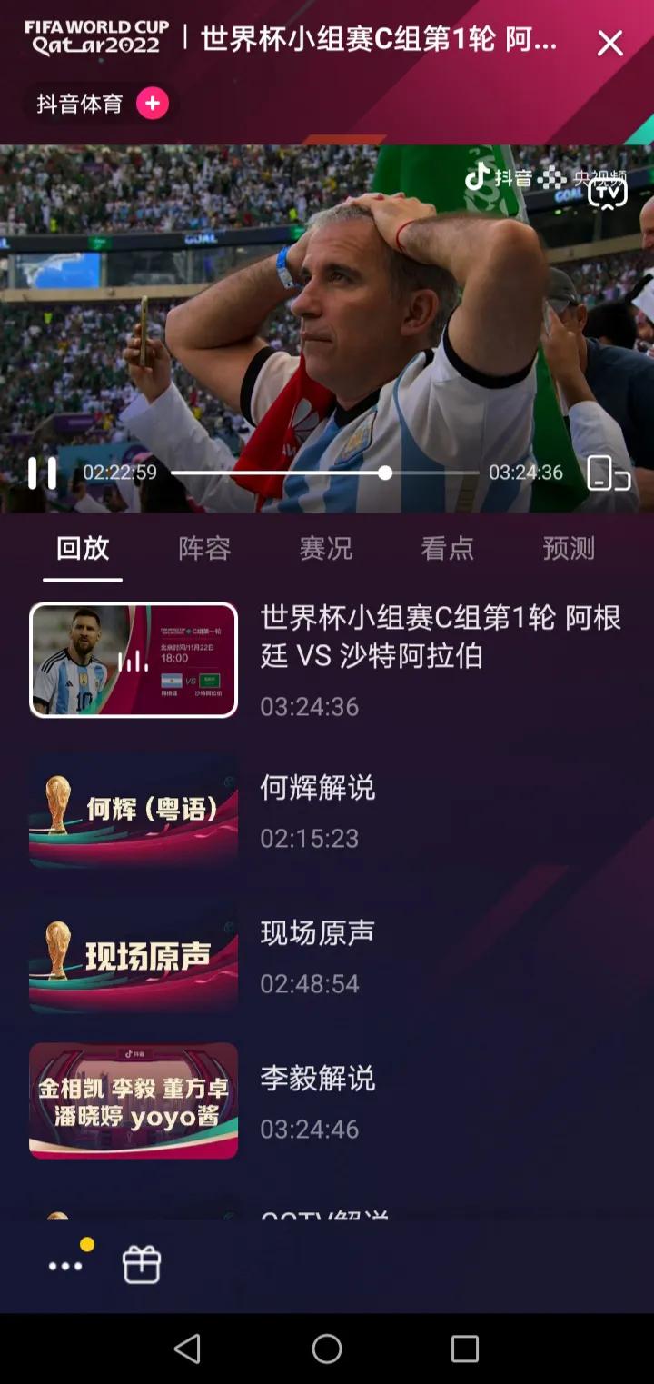 世界杯无障碍直播回放日本,世界杯直播录像回放日本