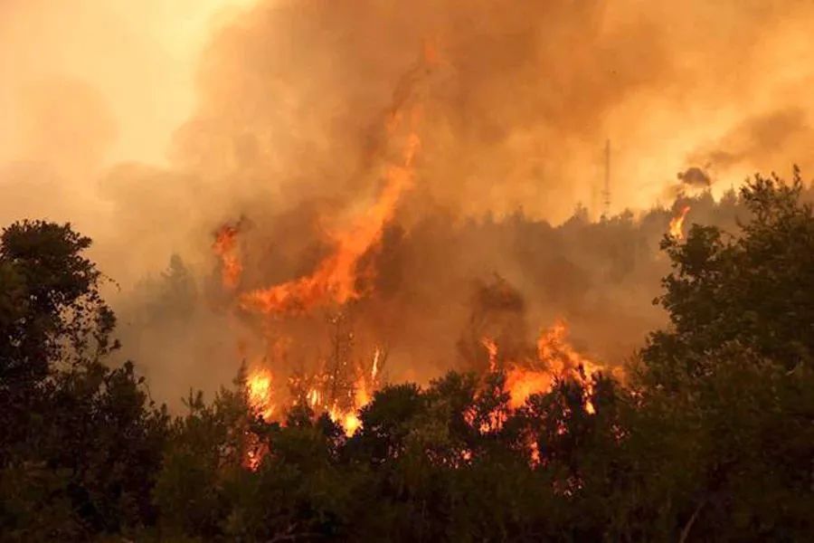 【双语资讯】科普：全球升温1.5℃和2℃区别到底有多大？