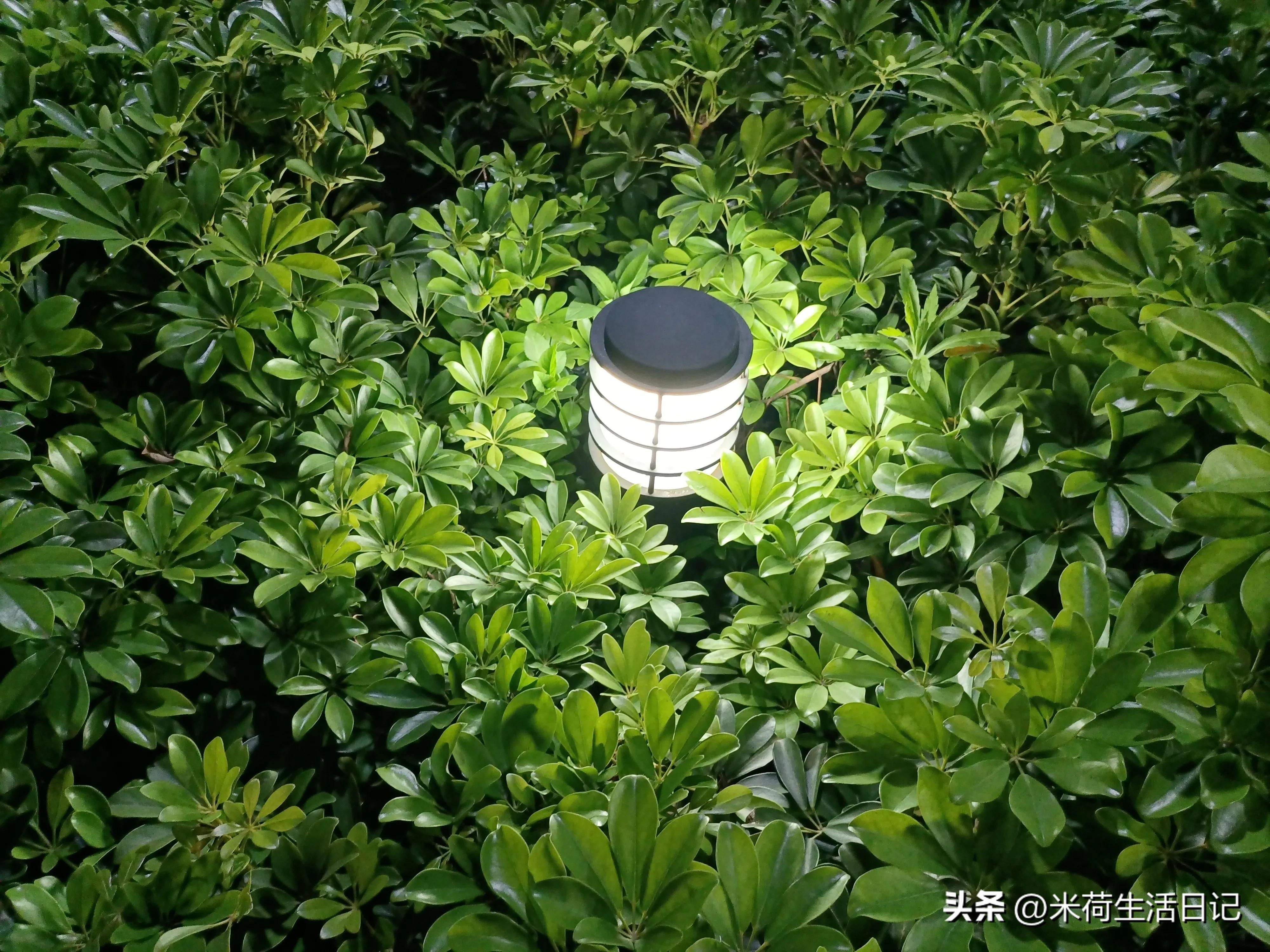 80后的我们已经过了而立之年了,30而立80后的生活