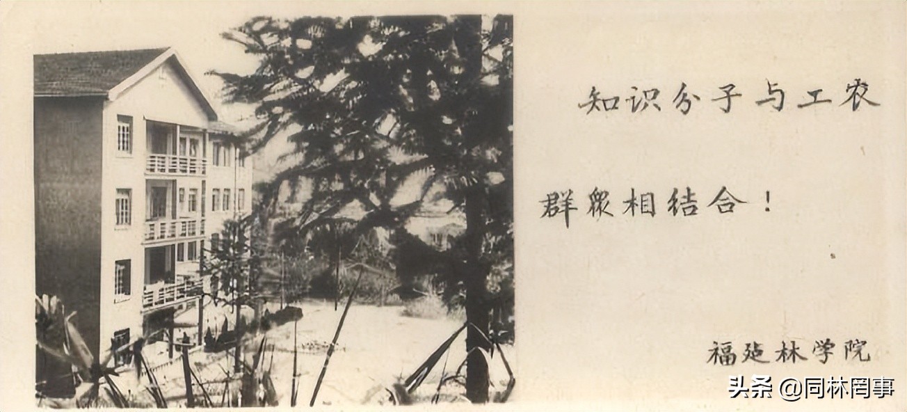 70后眼中的大学146之福建农林大学——农+林,1+1大于了2