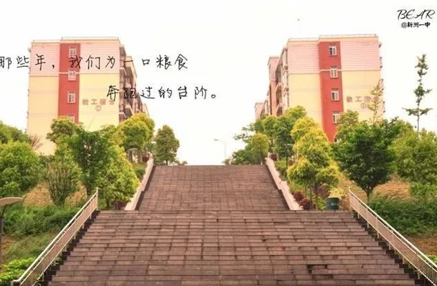 新洲区一中好吗,新洲一中情况如何