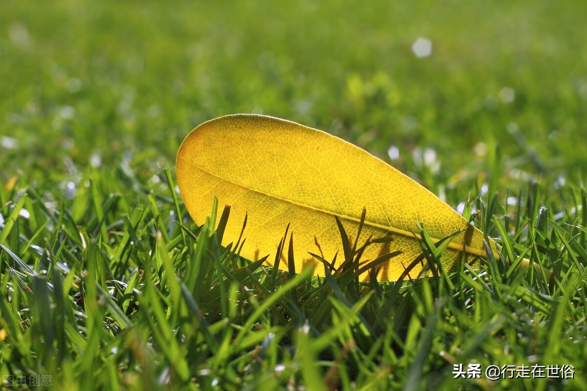 瞬间戒烟的危害,想戒烟了拿什么能代替