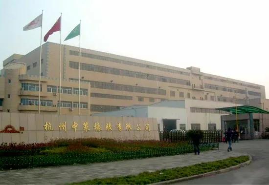 杭州橡胶厂简介,杭州有哪些橡胶公司