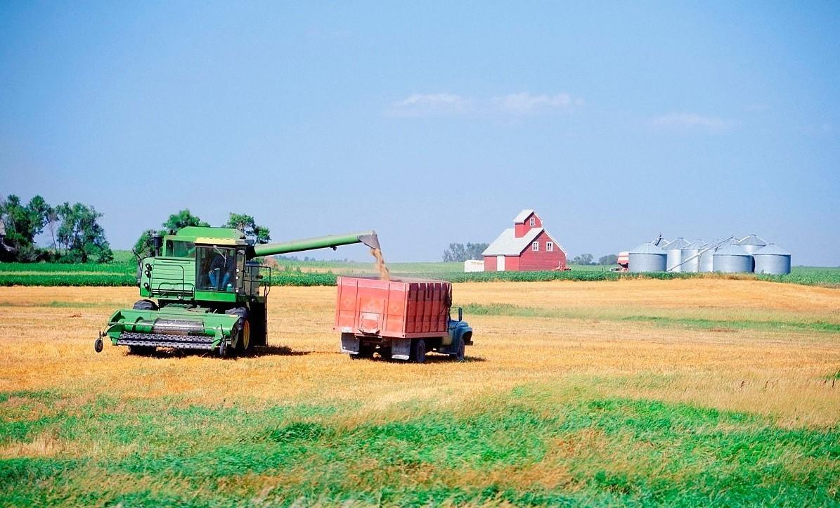 美国也开始犯糊涂了？为何美国宁愿“倒贴”，也要向中国出口粮食
