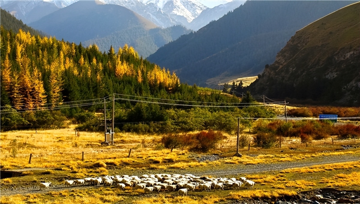 祁连山雪域牧场,祁连山壮丽山河