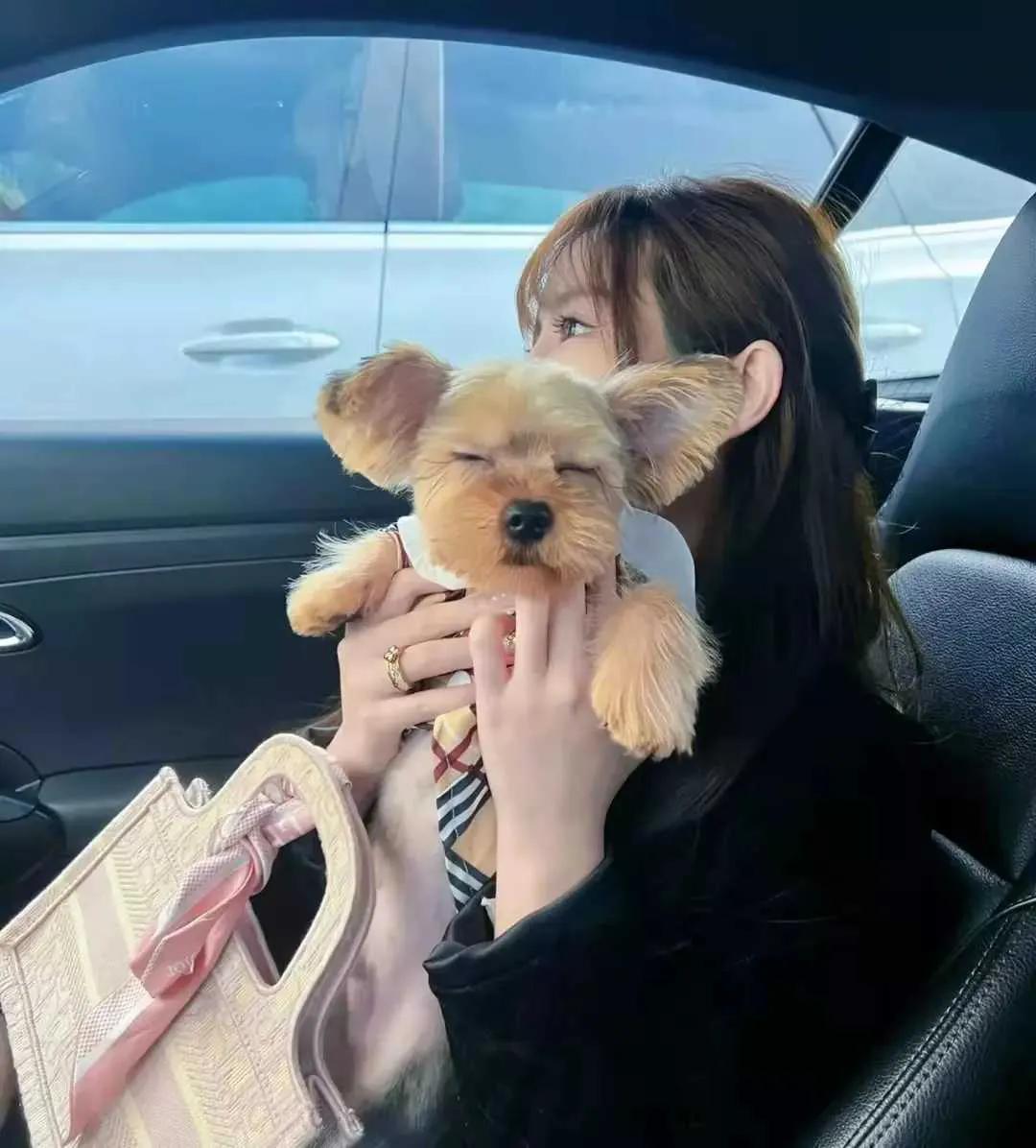 不小心把女友的狗踩死了，她很生气要和我分手，我该怎么办？