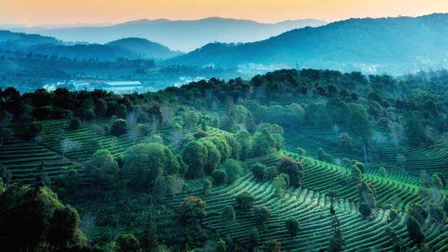 己所不欲勿施于人是修养,己所不欲勿施于人要平等对待他人