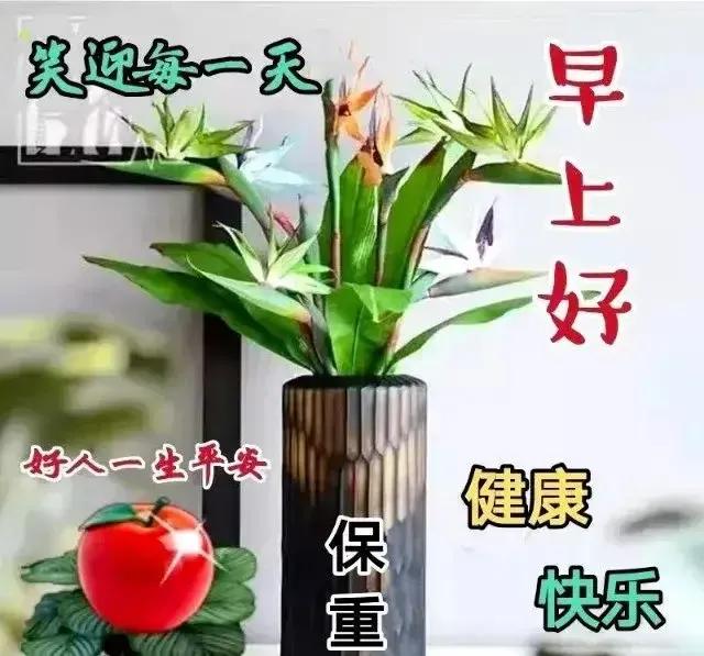 2023年02月27日星期一农历:癸卯年【兔年】二月初八八九第5天