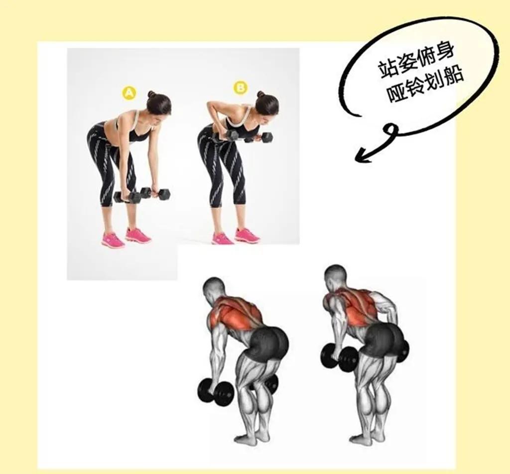 教你用一对哑铃,在家就能瘦全身