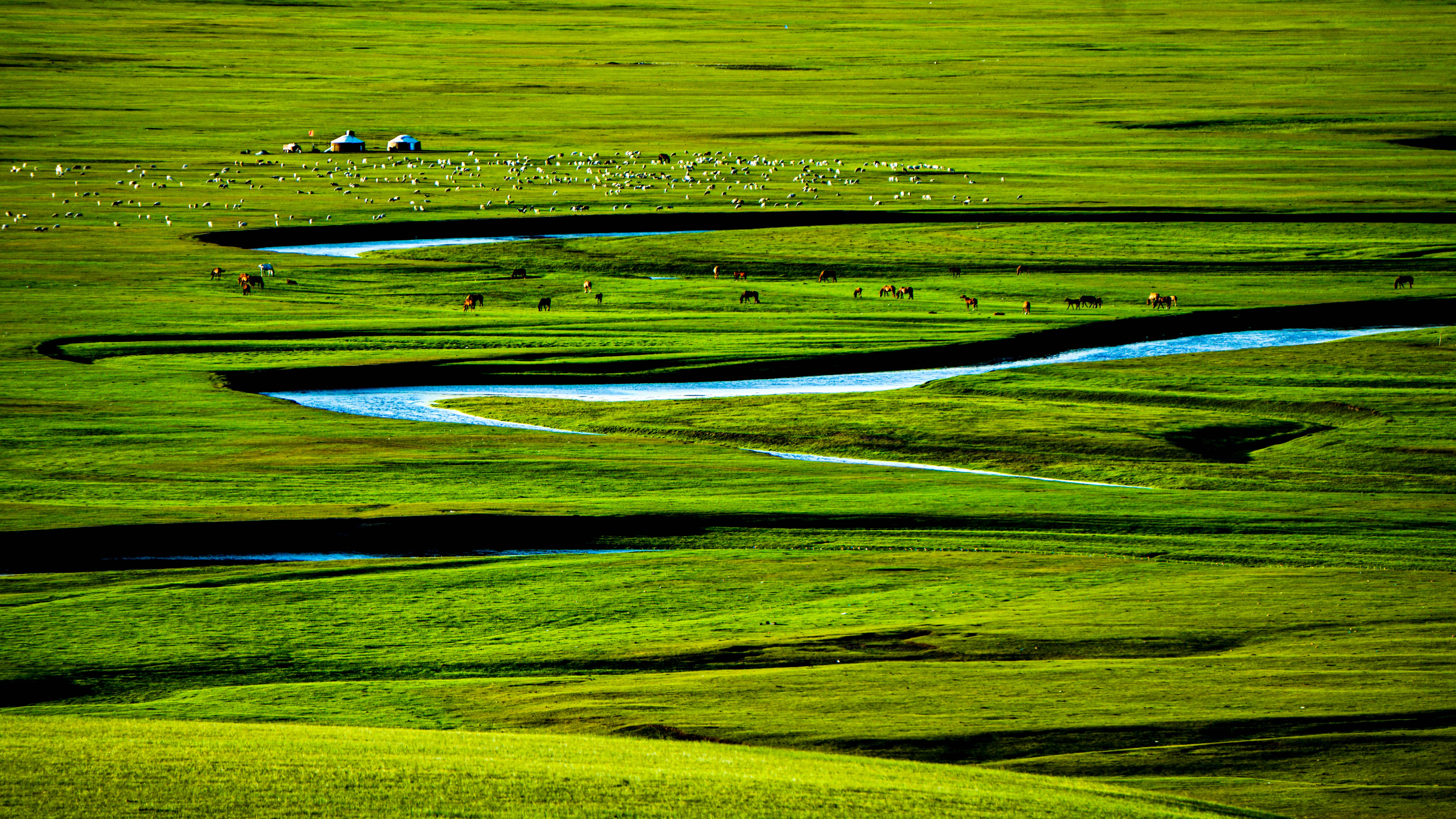 绘本中国传统风格,中国风插画绘本推荐排版