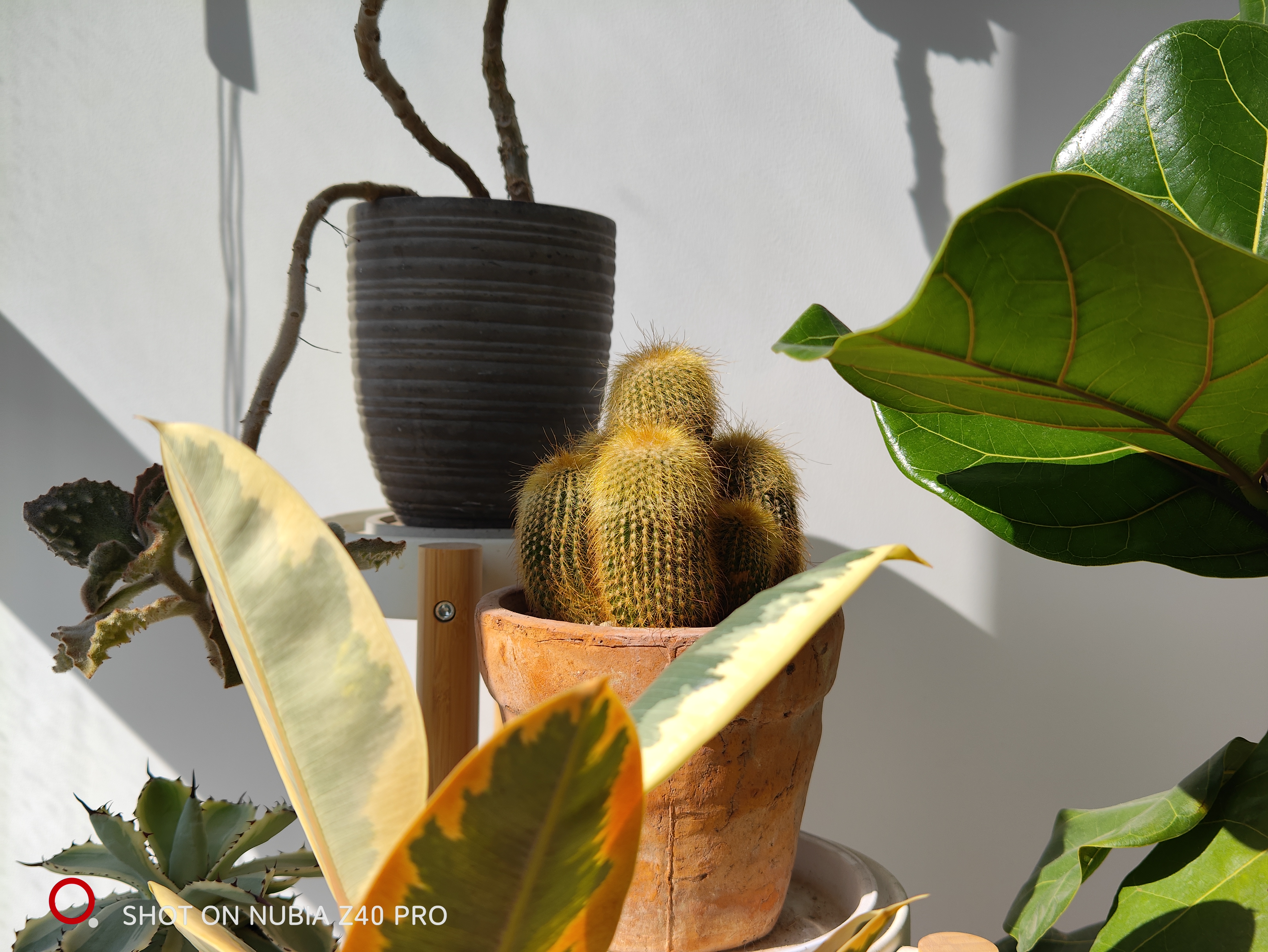 鍔瘮浜歾40pro闀跨劍鎷嶆憚鏁堟灉,鍔瘮浜歾40pro鎷嶇収姘村钩