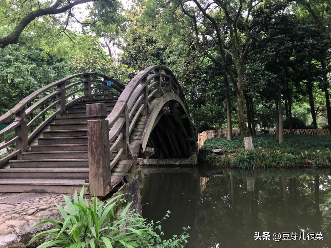 老婆老是查账是什么心态,老婆经常查账是什么心理