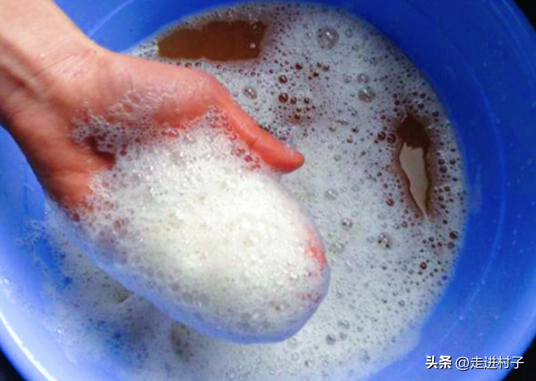 白萝卜种植方法和防虫,白萝卜种植专治病害