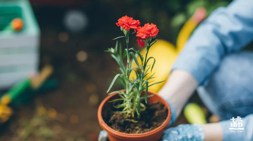 新年致我最爱的人句子,新的一年致我最在乎的人