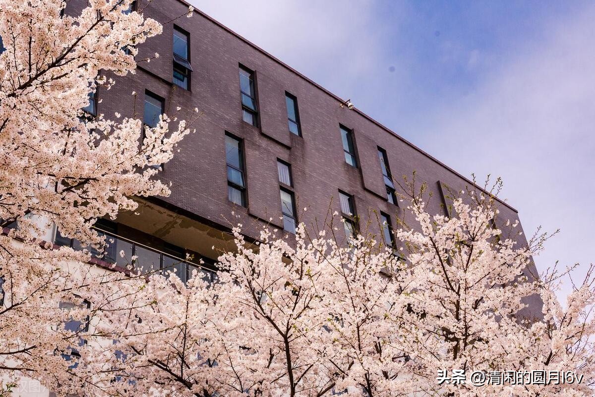 安徽建筑大学函授,安徽建筑大学官网