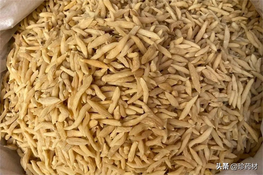 10月10日中药材市场快讯：白及、栀子、夏枯球、枳壳、地龙、八角