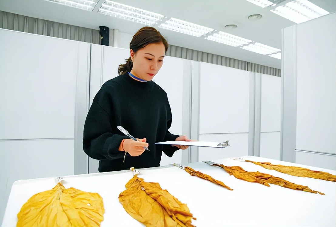 毕业生入职中国*草烟**，晒出工资条惹人羡慕，公积金太“秀”了