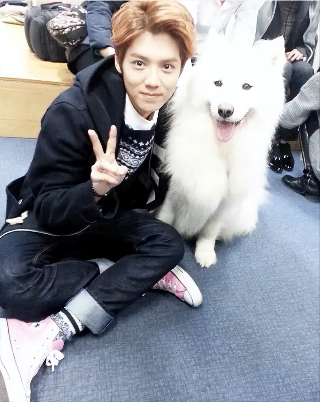 鹿晗是什么时候承认恋情的,鹿晗是什么时候宣布恋情的