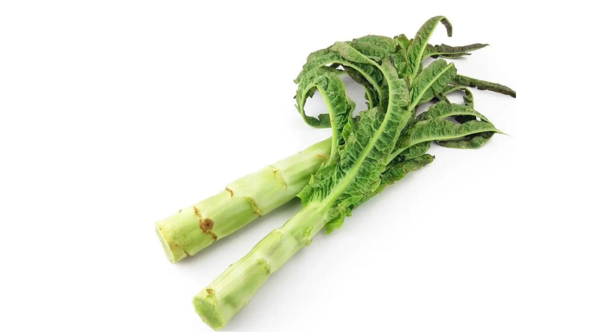 怎样种植莴笋的全过程,怎样种植莴笋又嫩又好吃