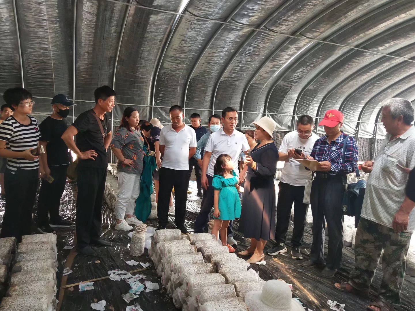 “鸿雁”高飞种养结合创丰收——记河东区鸿雁人才马利娟