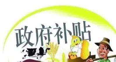 种粮补贴没有按实际亩数补,种粮补助没有到哪个部门找