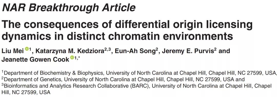 浙大校友揭示DNA损伤又一机制,为抗肿瘤药物研发提供新思路