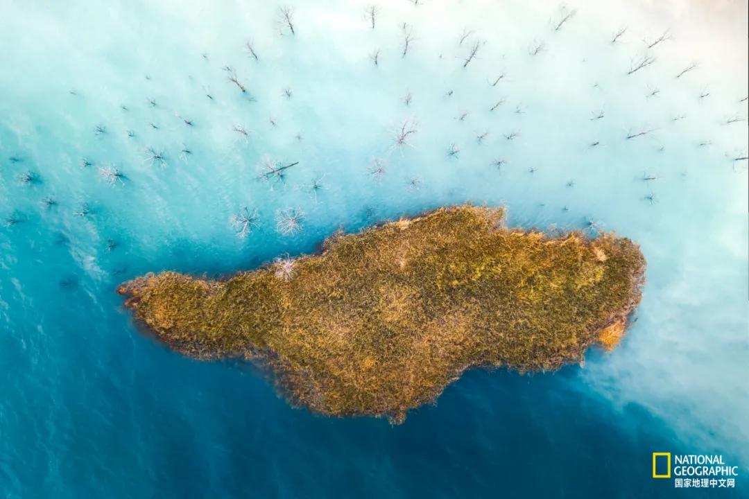 国家地理中文网英文,国家地理中文网在哪里