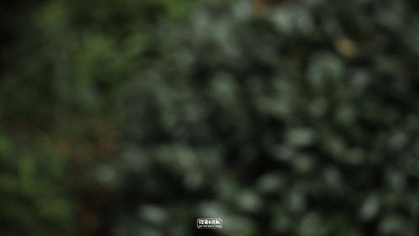 不要随便在便利店买雪糕,不要随意拿没见过的雪糕