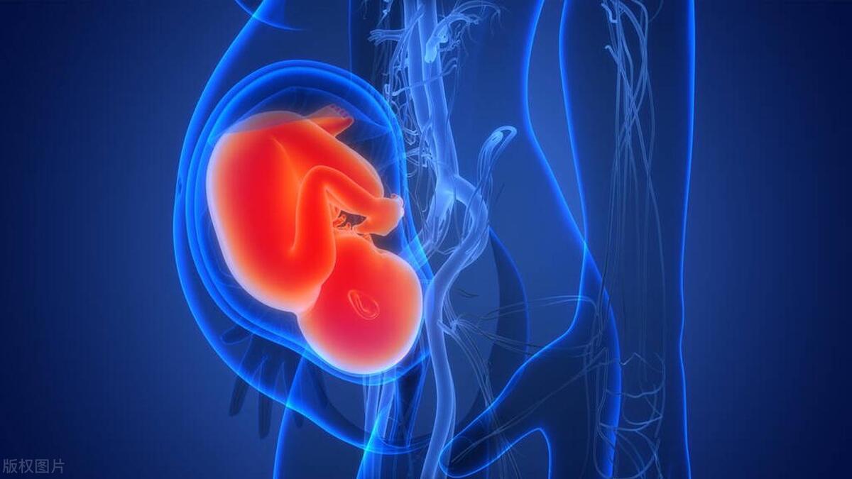 20岁女孩检查双子宫,女生24岁检查出来双子宫怎么办